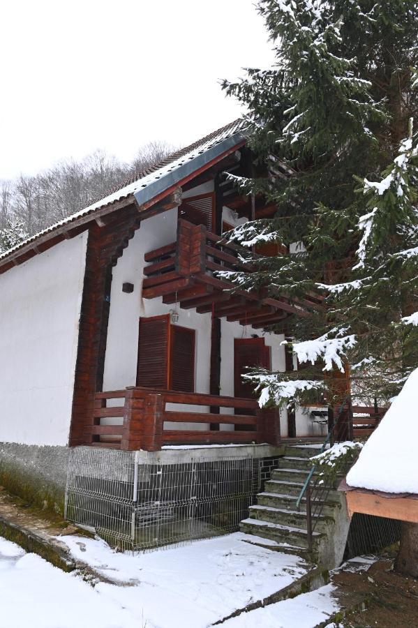 Casa De Vacanta Satic Piatra Craiului La Doi Viermi Ngoại thất bức ảnh