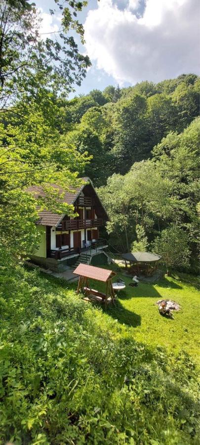 Casa De Vacanta Satic Piatra Craiului La Doi Viermi Ngoại thất bức ảnh