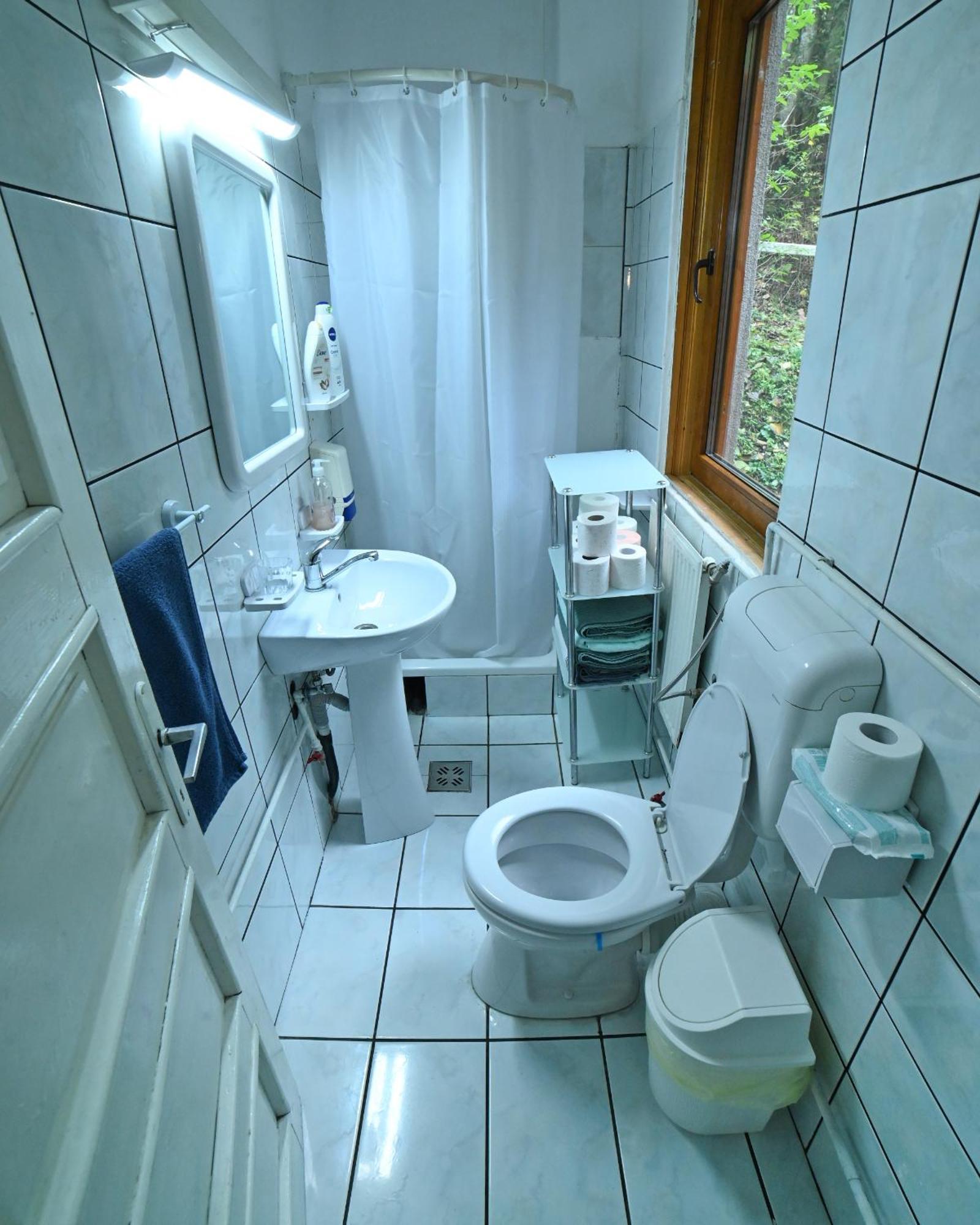 Casa De Vacanta Satic Piatra Craiului La Doi Viermi Ngoại thất bức ảnh